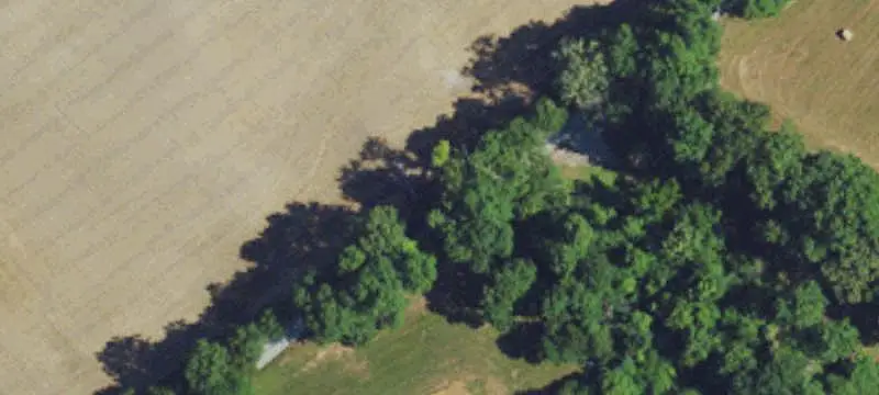 Hunting Land with Remodeled House