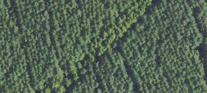 C-3 Commercial Land