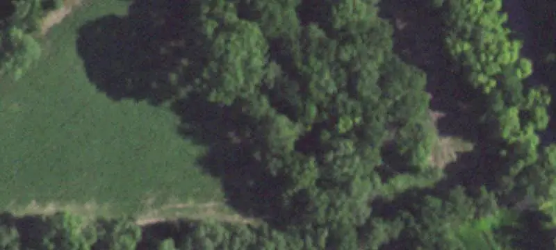 Wooded Commercial Land