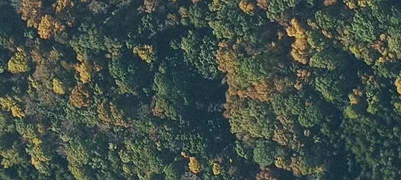 Rolling Farmland with Wooded Areas