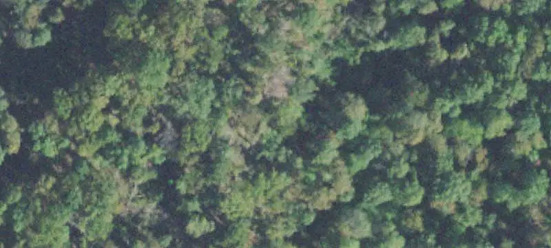 Wooded Recreational Land