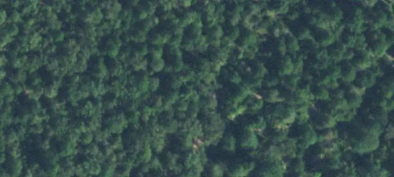 Gated Rural Hunting Land