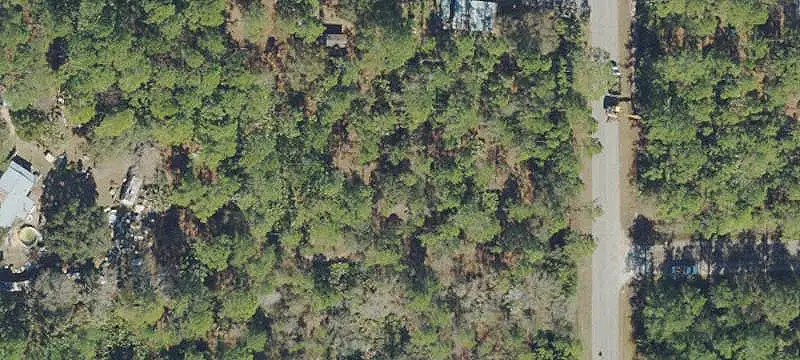 1590 AVOCADO BOULEVARD, BUNNELL, FL 32110