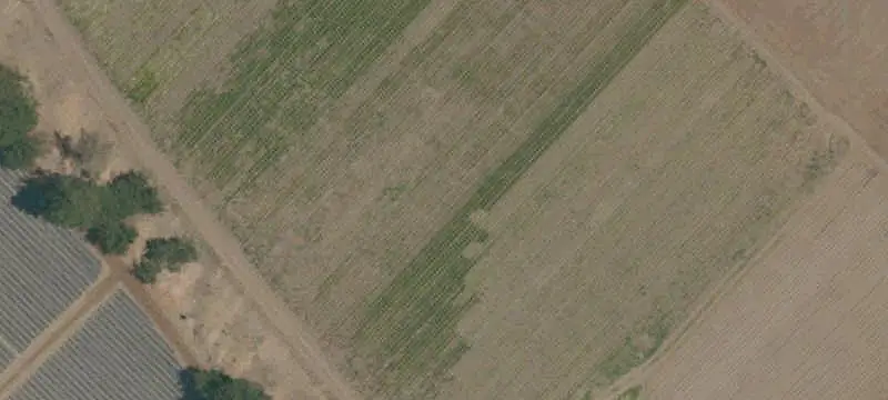 Organic Agricultural Ranch