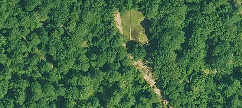 Pine Plantation Farmland