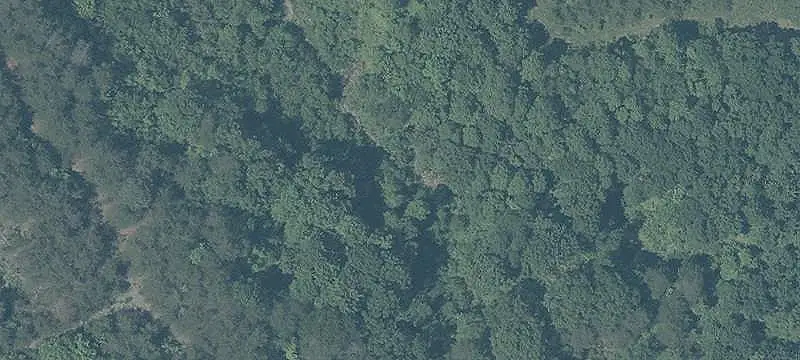 Agricultural Land with Four Ponds