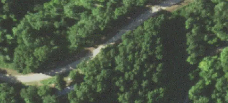 Wooded Hunting Land with Clearing