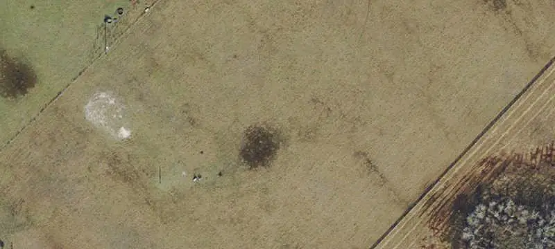 Fenced Agricultural Land