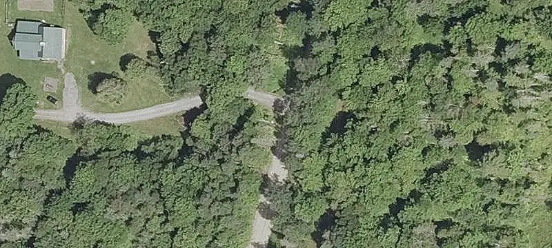 Wooded Land Parcel