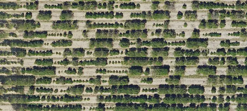 Lots/Land