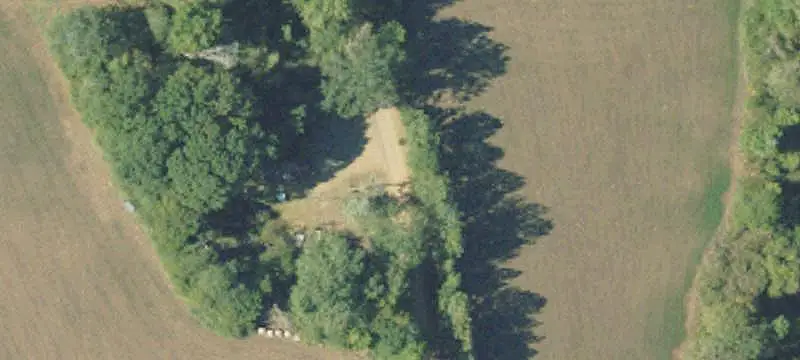Timbered Hunting Land