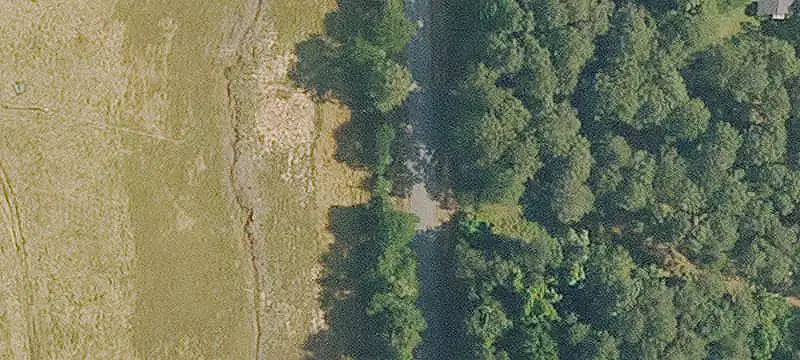 Timbered Hunting Land