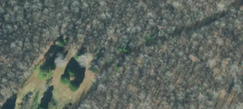 Creekside Agricultural Acreage