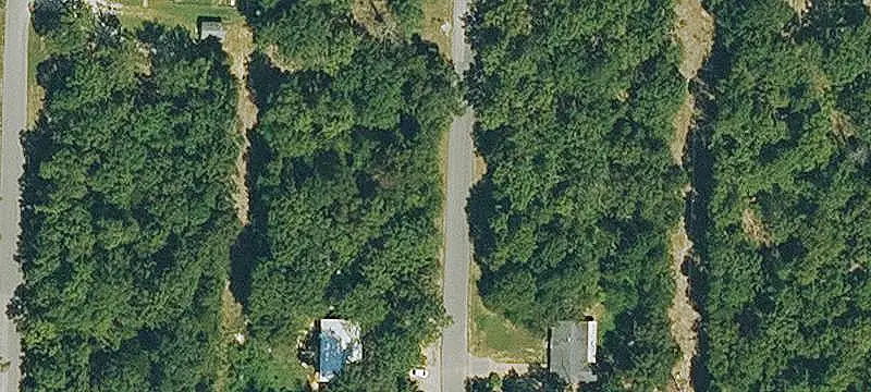 Wooded Buildable Land
