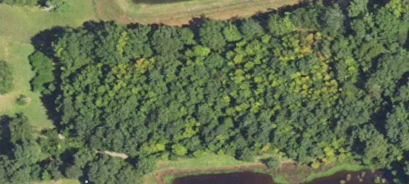 Commercial Land with Stocked Pond
