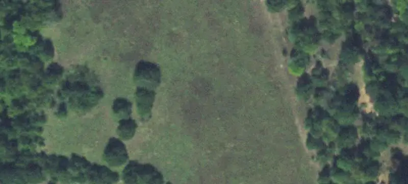 Rolling Pasture and Wooded Acreage