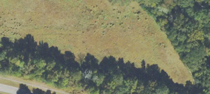 Land/Lot