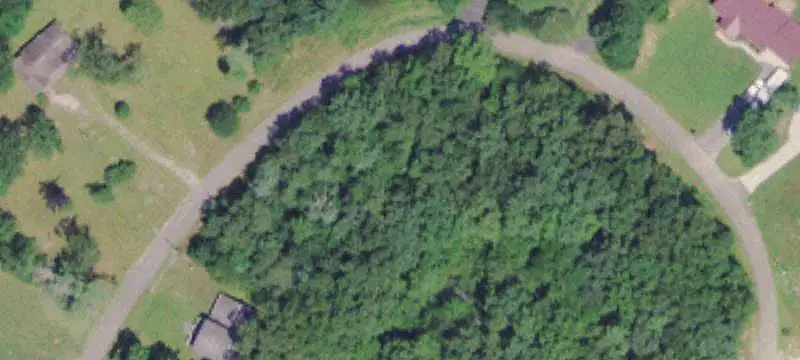 Wooded Waterfront Land