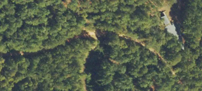 Wooded Hunting Land with Interior Roads