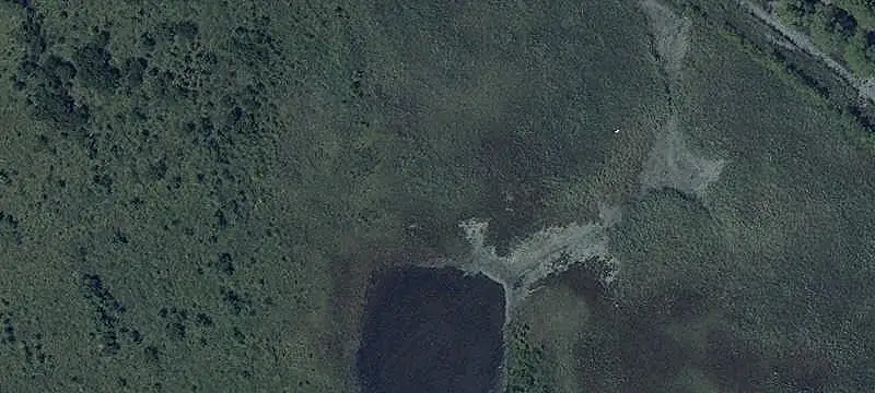 Waterfront Hunting Land