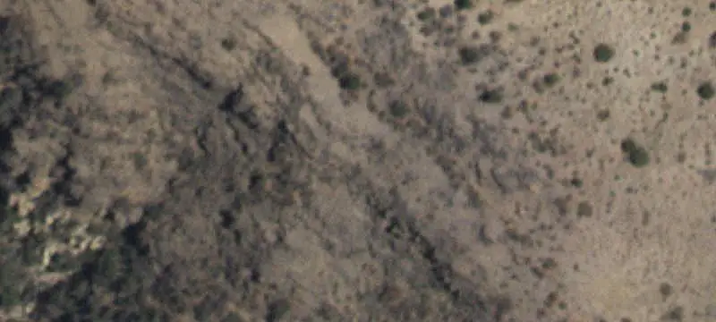 Open-Range Agricultural Land