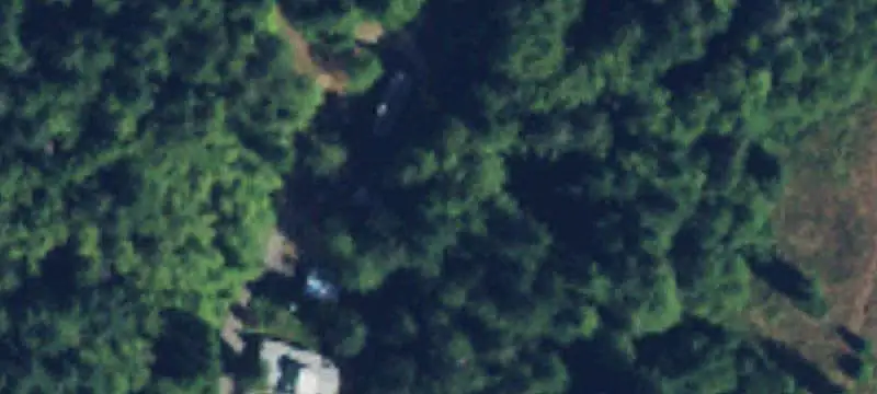 Mountain Valley Farm with Tree Farm