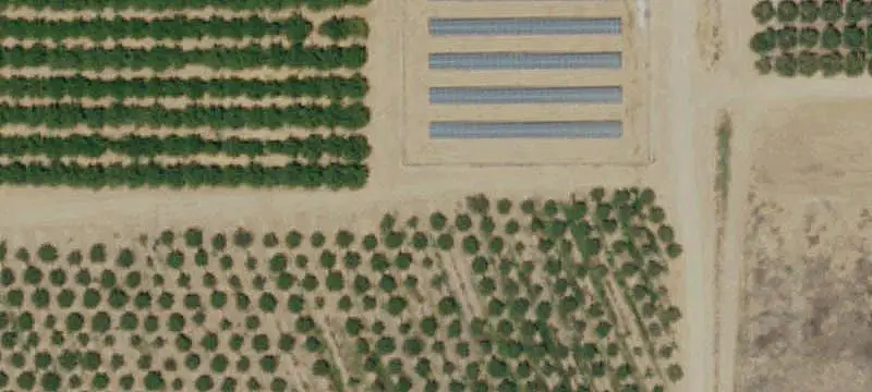 Almond and Pistachio Farm