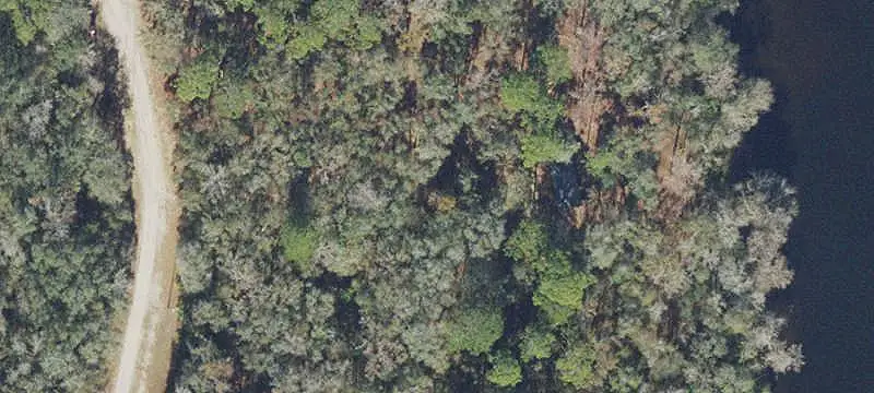 Withlacoochee Riverfront Land