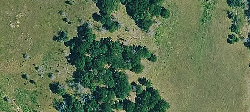 Farm with Oak Timber
