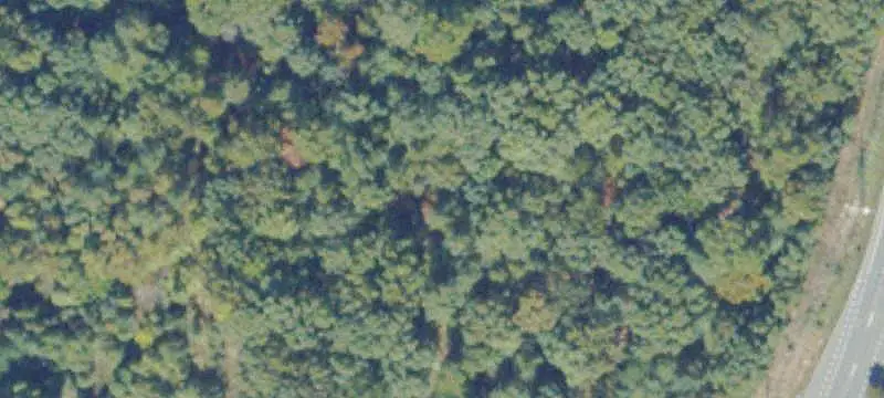 Signalized Corner Commercial Land
