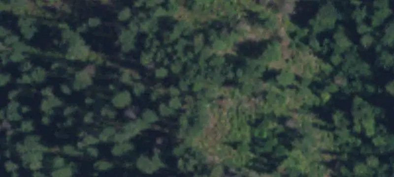 Forest Recreation Land