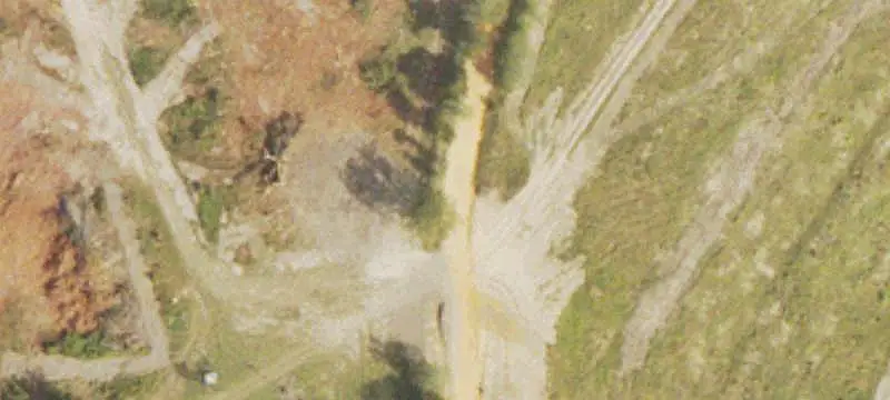 Managed Agricultural Land with Timber
