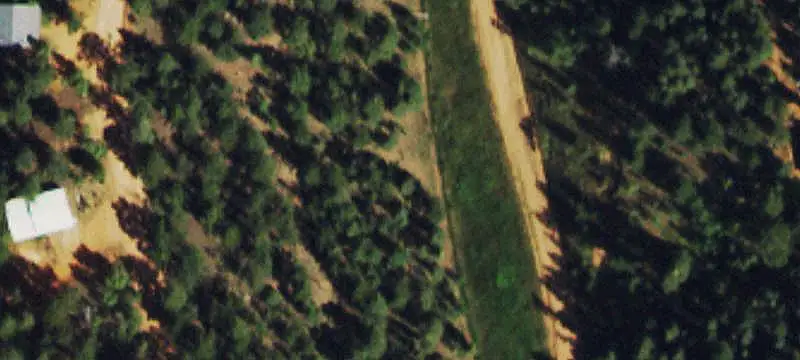 490 Willow Road, Divide, CO 80814