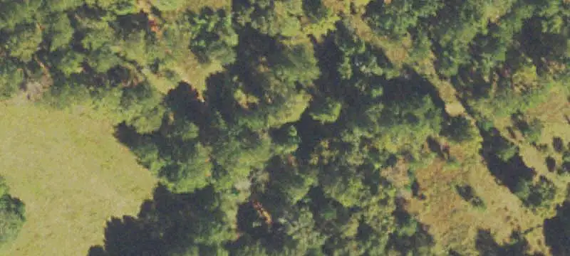 Farmland with Shared Pond