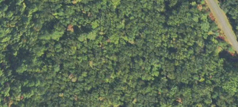 Land / Unimproved Land
