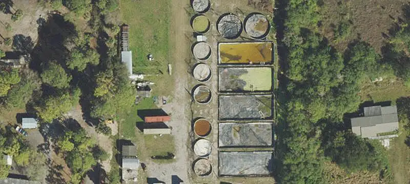 Operational Tilapia Farm