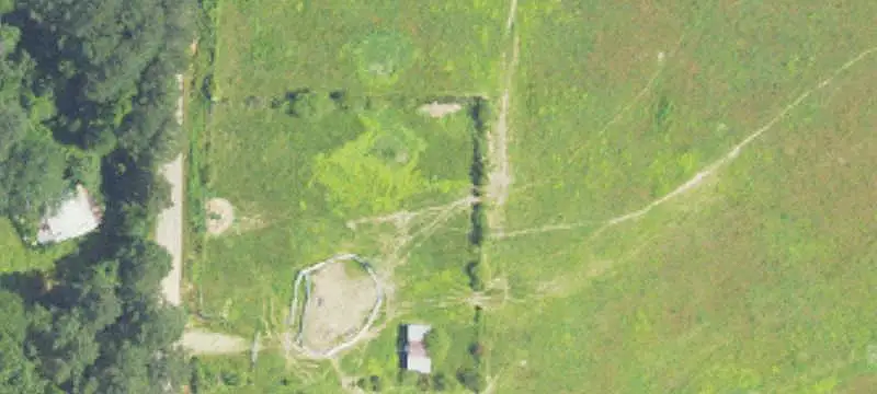 Cattle Farm with Pond