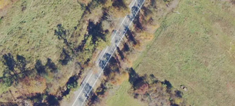 Wooded Hunting Land