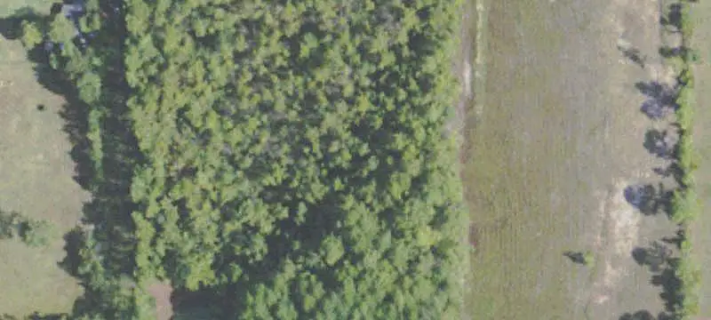 Cleared Commercial Land