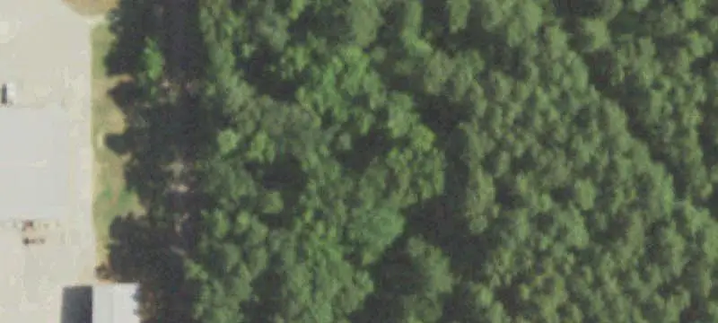 Five-Acre Land Parcel