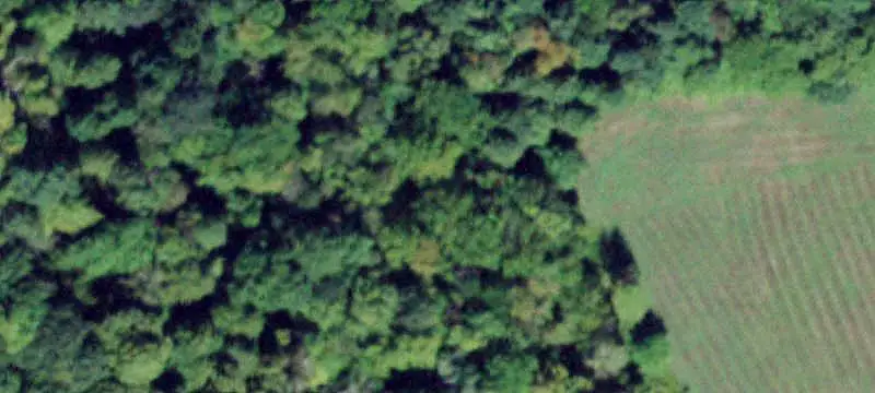 Rolling Agricultural Land