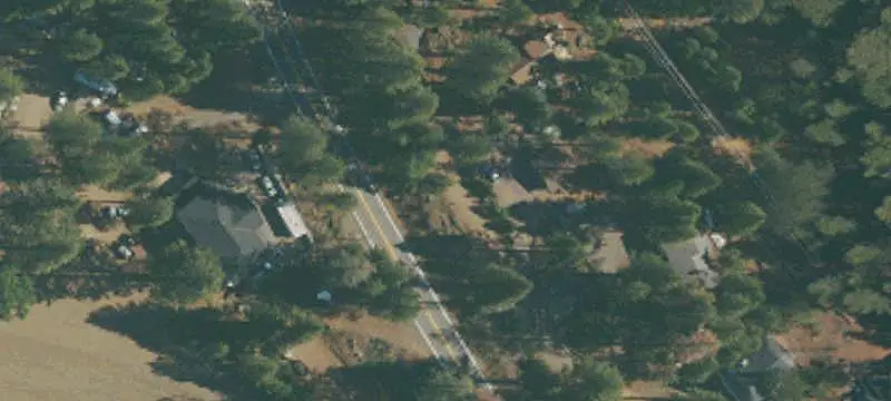 Ponderosa Pine Land