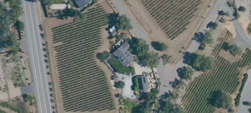 Vineyard Property with Guesthouse