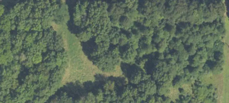 Wooded Corner Land