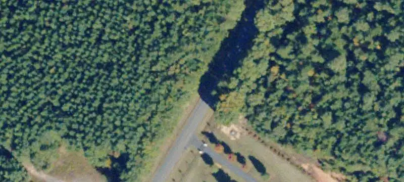 Mature Timber Hunting Land