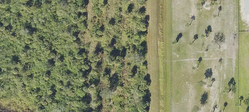 Land