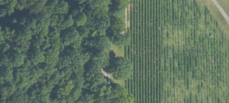 Organic Farmland with Cabin