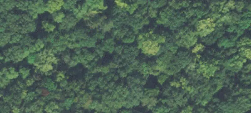 Lots/Land