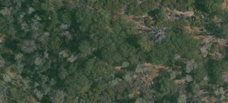 Agricultural Land with Walnut Orchard