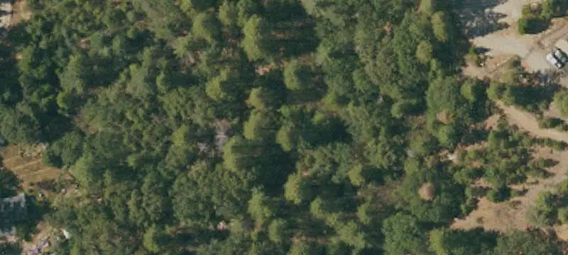 Land/Lot